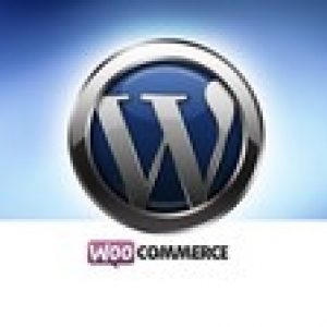 Complete Wordpress course to develop website & online Store