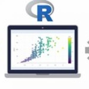 R Programming:For Data Science With Real Exercises