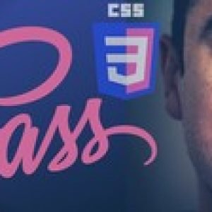 Advanced CSS & SASS: Framework, FlexBox, Grid, Animations