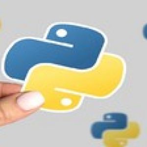 Python For Those Absolute Beginners Who Never Programmed