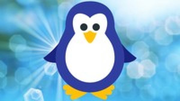 Shell Scripting : Bash Scripting/AWK/SED on Linux/Unix/Bash