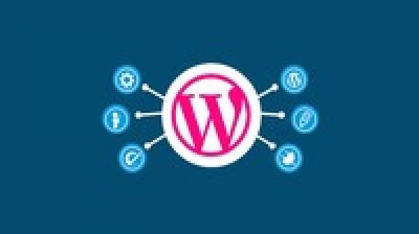 Create eye-catching WordPress website from scratch