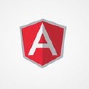 AngularJS Made Easy for People in Hurry