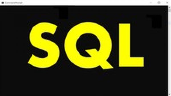 Learn Basic SQL with SQL Server 2019 Express