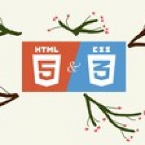 Web Development Fundamentals: HTML5 and CSS3 for Beginners