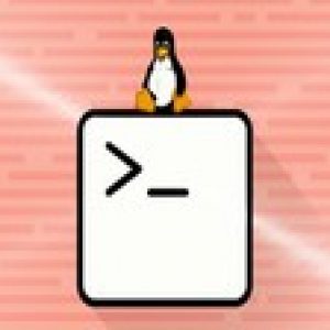 Linux Shell Course for Beginners