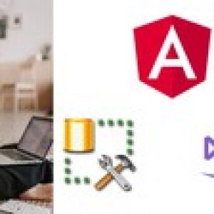 Full-Stack Web Development using Angular 10, Web API & SQL