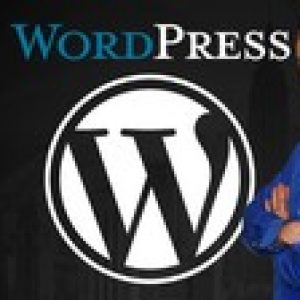 Build The Perfect SEO Optimized WordPress Website from A-Z