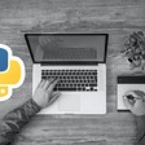 Learn dynamic programming using Python.
