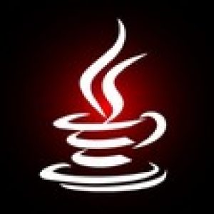 Java programming 2020: java programmer crash course