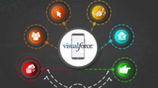 Salesforce Visualforce Development