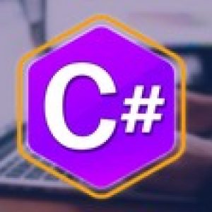 Practical Approach to Beginner C# Language by Professional