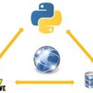 Python+SQL+Oracle: Integrating Python, SQL, and Oracle