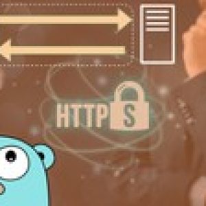 How to develop a productive HTTP client in Golang (Go)
