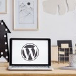The Wordpress Course