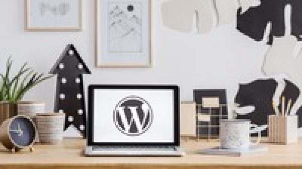 The Wordpress Course