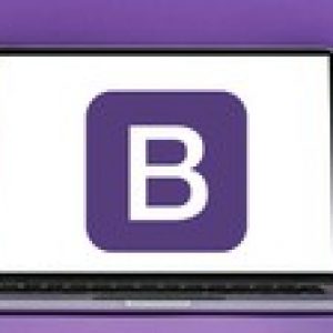 The Bootstrap 4 From Scratch With Real Projects