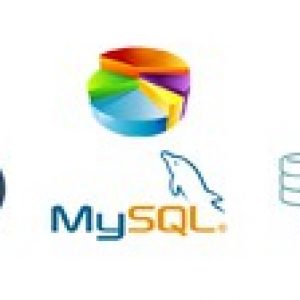 Practical SQL Masterclass - Learn MySQL - Beginner to Guru