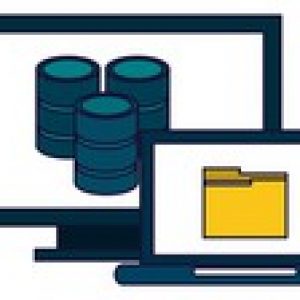 The Complete SQL Bootcamp for Beginners: Hands-On Oracle SQL