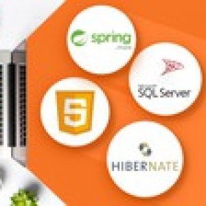 Full Stack Development with Java, MS SQL, Spring, Hibernate
