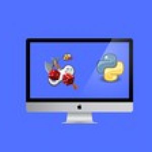 Python Game Development : Build 5 Professional Games