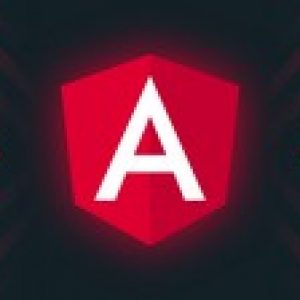 Angular from Beginner to Advanced