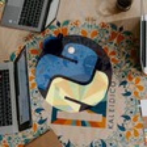 The Python Programming A-Z Definitive Diploma in 2021