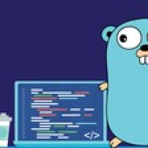 The Easy And Simple Guide To Go Programming Language