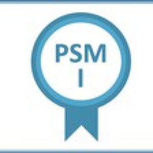 Professional Scrum Master PSM I - Practice 320 Questions NEW