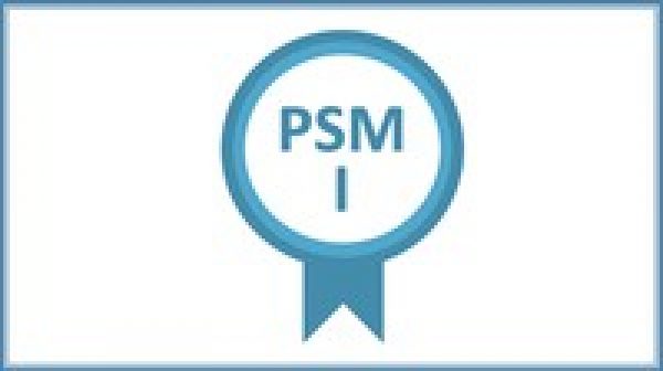 Professional Scrum Master PSM I - Practice 320 Questions NEW