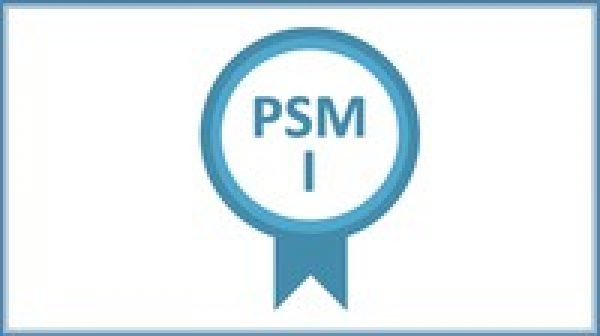 Exam PSM-I Objectives Pdf