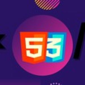 The Basic HTML 5 & CSS 3 Course.