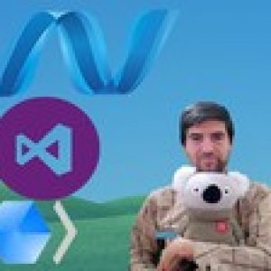 WPF in VB for Beginners,Windows Presentation Foundation XAML