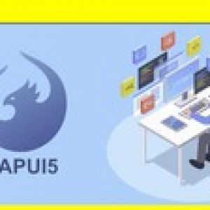Learn SAPUI5 Development With Project