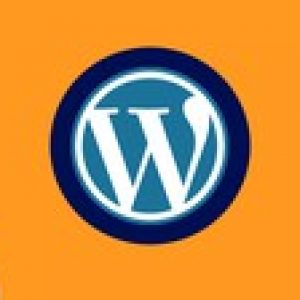 Install Wordpress Clear & Short: Cpanel & Plugins Certified
