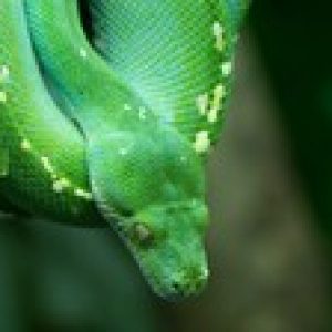 Python for Absolute Beginners - 2020 - (1.Part )