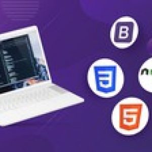 Full Stack Web Development 2021 Guide with NodeJS & MongoDB