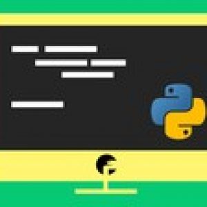 Python Basics Training