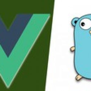 Vue 3 and Golang: A Practical Guide