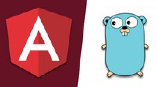 Angular and Golang: A Practical Guide