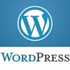 Complete WordPress Plugin Development For Beginners - 2021