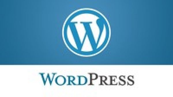 Complete WordPress Plugin Development For Beginners - 2021