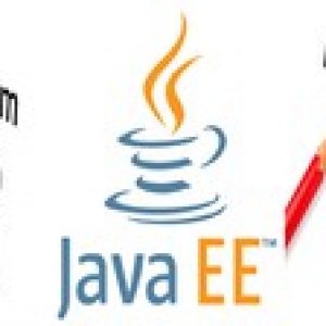 java EE : Practice Tests for Java EE Certification