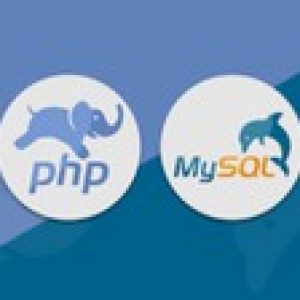 PHP for Beginners 2021: The Complete PHP MySQL PDO Course