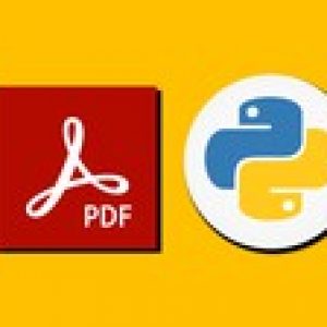 Python ReportLab from Beginner to Winner