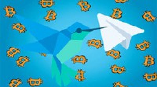 Flutter &Dart Building Telegram Bitcoin Price Bot Using Dart