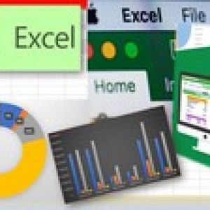 Microsoft Excel For Professionals (Zero to Advanced Course)