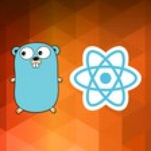 The Complete React & Golang Course