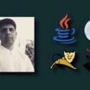 Develop Java MVC web apps using MyBatis, Servlets and JSP