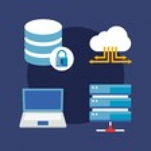 Database Developer - SQL Server/T-SQL/Database Migration